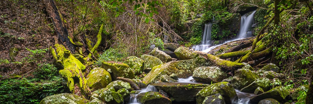 Washpool National Park