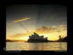 Sydney Screensaver