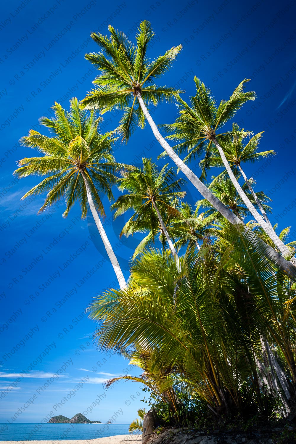 Ellis Beach (31519), photo, photograph, image | R a Stanley Landscape ...