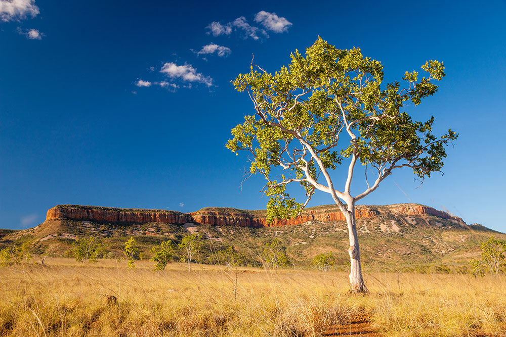 Destination: Gibb River Road