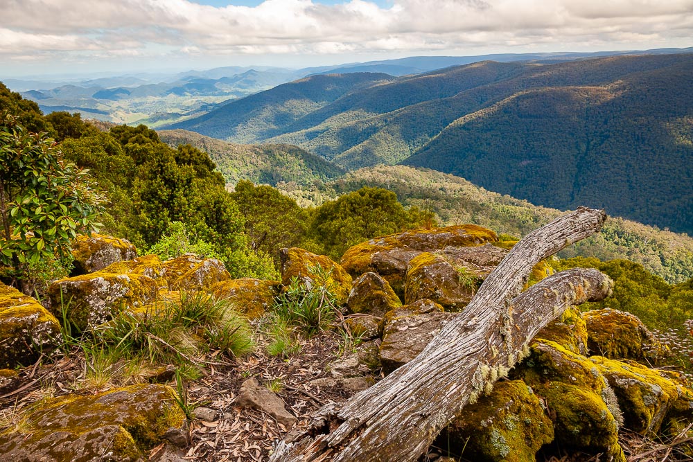 Destination: Barrington Tops