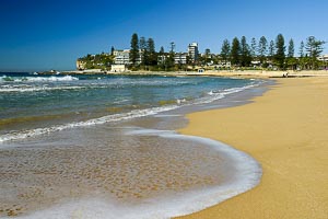 Destination: Dee Why