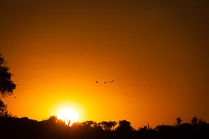 Destination: Kakadu National Park