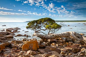 Destination: Cape Naturaliste