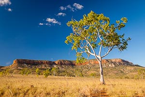 Destination: Cockburn Ranges