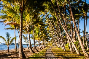 Destination: Cairns