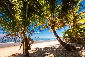 Destination: Ellis Beach