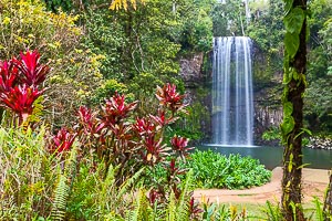 Destination: Atherton Tablelands