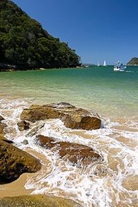 Destination: Ku Ring Gai Chase National Park