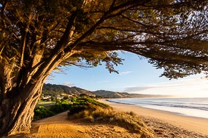 Destination: Apollo Bay