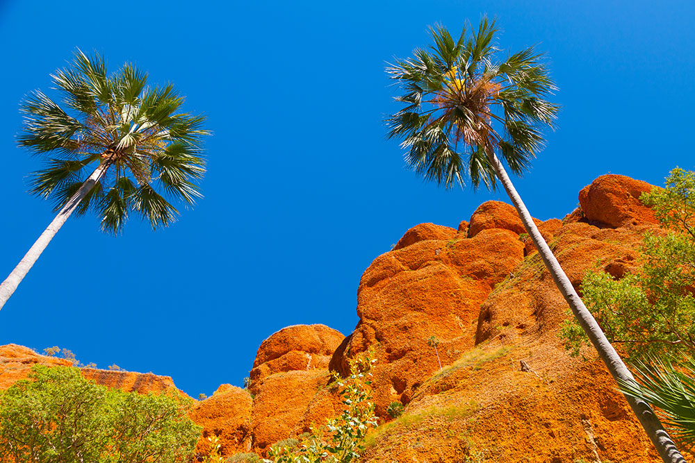 Photographs of Western Australia