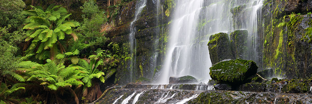 Mount Field National Park