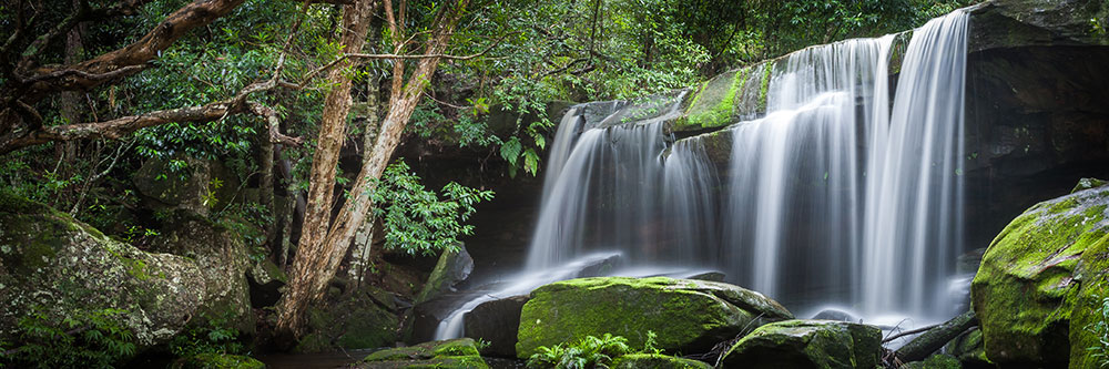 Brisbane Water National Park