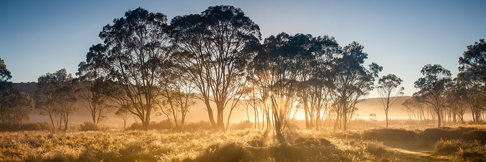 Barrington Tops National Park