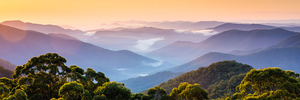 Gibraltar Ranges National Park