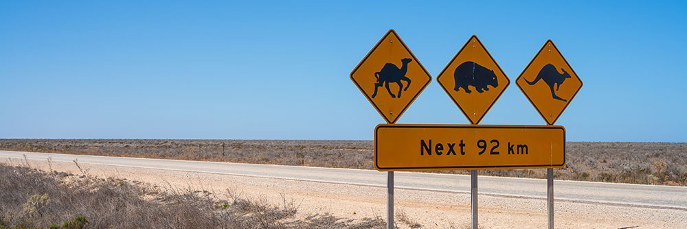 Nullarbor National Park