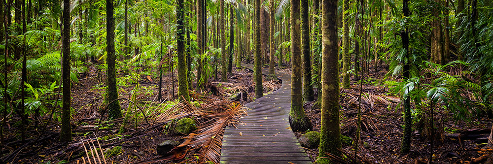 Nightcap National Park