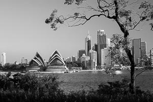 Picture of Sydney, Greater Sydney, New South Wales, Australia