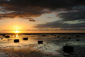 Picture of Long Reef, Northern Beaches, New South Wales, Australia