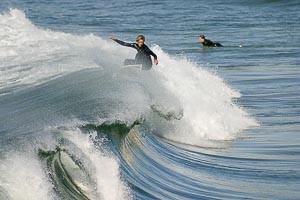 Picture of Manly, Northern Beaches, New South Wales, Australia