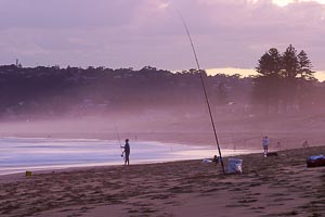Picture of Narrabeen, Northern Beaches, New South Wales, Australia
