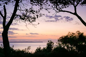 Picture of Jervis Bay, Illawarra, New South Wales, Australia