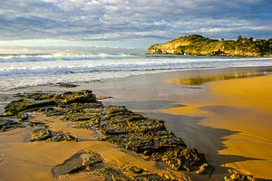 Picture of Warriewood, Northern Beaches, New South Wales, Australia