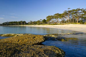 Picture of Jervis Bay, Illawarra, New South Wales, Australia