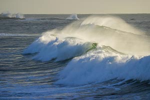 Picture of Curl Curl, Northern Beaches, New South Wales, Australia