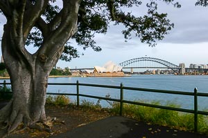 Picture of Sydney, Greater Sydney, New South Wales, Australia