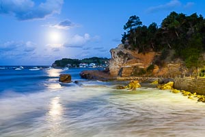 Picture of Terrigal, Central Coast, New South Wales, Australia
