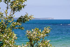 Picture of Jervis Bay, Illawarra, New South Wales, Australia