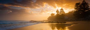 Picture of Avoca Beach, Central Coast, New South Wales, Australia