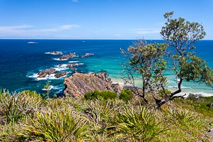 Picture of Seal Rocks, Barrington Coast, New South Wales, Australia