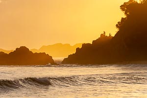 Picture of Myall Lakes National Park, Barrington Coast, New South Wales, Australia