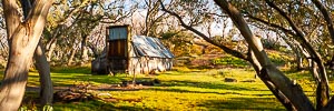 Picture of Alpine National Park, The High Country, Victoria, Australia