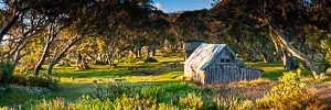 Picture of Alpine National Park, The High Country, Victoria, Australia