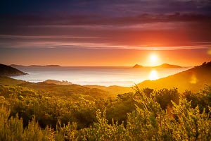 Picture of Wilsons Promontory National Park, Gippsland, Victoria, Australia