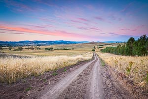 Picture of Mansfield, The High Country, Victoria, Australia