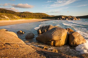Picture of Wilsons Promontory National Park, Gippsland, Victoria, Australia