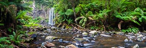 Picture of Hopetoun Falls, Great Otway National Park, Victoria, Australia