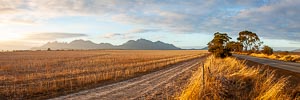 Picture of Stirling Ranges National Park, South Coast, Western Australia, Australia