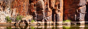 Picture of Millstream Chichester National Park, The Pilbara, Western Australia, Australia