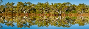 Picture of Millstream Chichester National Park, The Pilbara, Western Australia, Australia