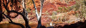 Picture of Karijini National Park, The Pilbara, Western Australia, Australia
