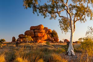 images of ghost gums Picture of Devils Marbles Conservation Reserve, Central Australia, Northern Territory, Australia