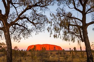 Picture of Uluru Kata Tjuta National Park, Central Australia, Northern Territory, Australia