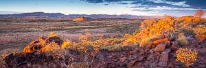 Picture of MacDonnell Ranges, Central Australia, Northern Territory, Australia