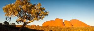 Picture of Uluru Kata Tjuta National Park, Central Australia, Northern Territory, Australia