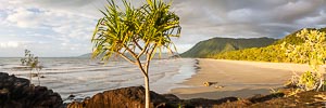 Picture of Cape Tribulation, Far North Queensland, Queensland, Australia